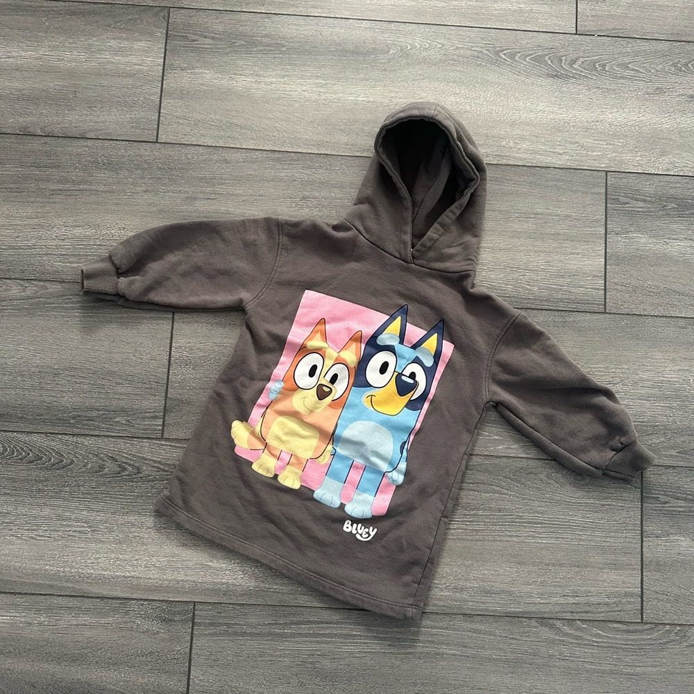 Zara Kids Bluey & Bingo Sweatshirt Hoodie